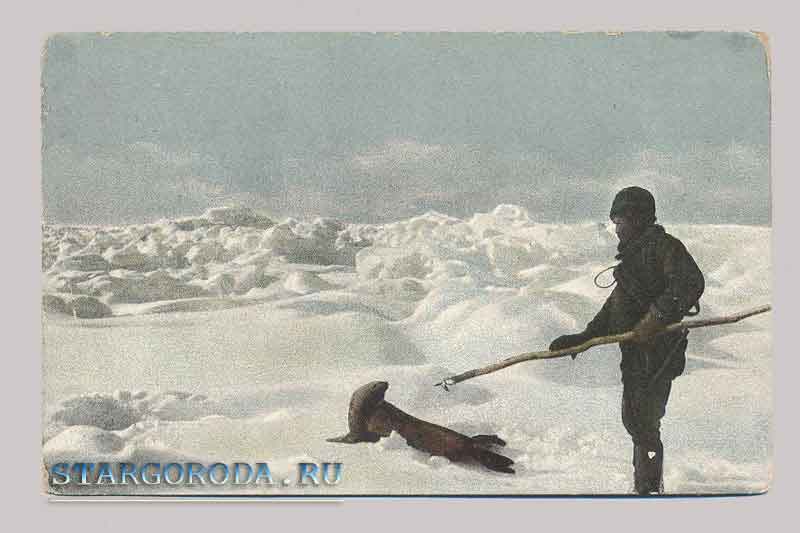 The white sea. Animal crafts Novaya Zemlya. The white sea. Animal crafts