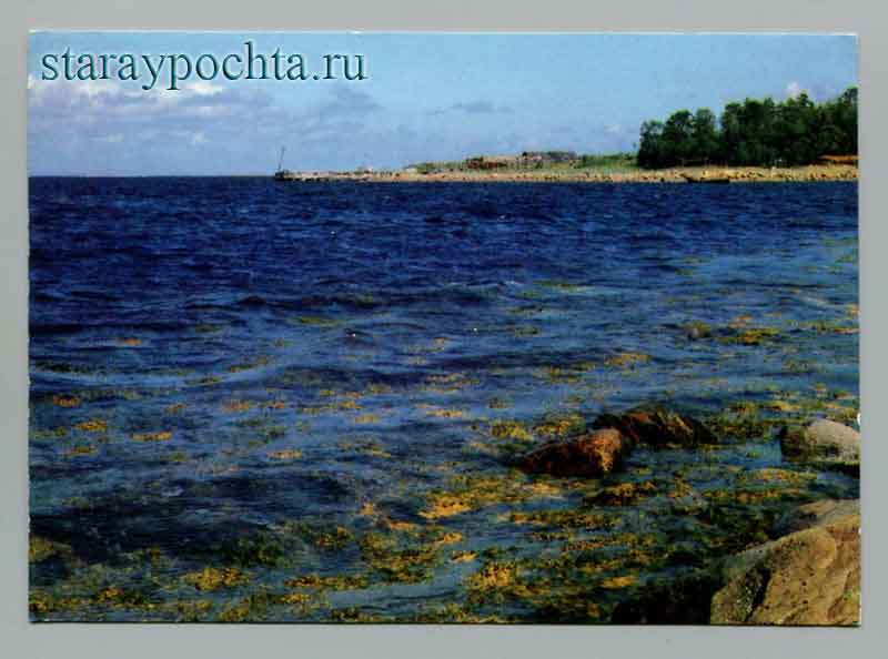 Остров Соловетский Открытка - Соловецкий государственный музей заповедник. Остров Соловецкий. Мыс Новососновский. Фото А. Захарченко. Издательство Планета, 1984 год