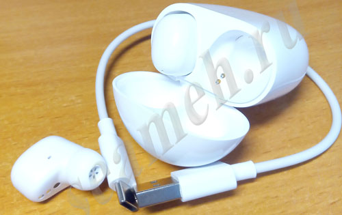 Футляр, наушники и USB-кабель